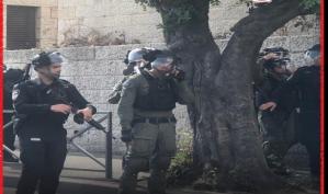 الاحتلال يعتدي على المصلين في حي وادي الجوز بالقدس المحتلة، بإطلاق قنابل الصوت والغاز المسيل للدموع ورش المياه العادمة، بعد منعهم من دخول "الأقصى".