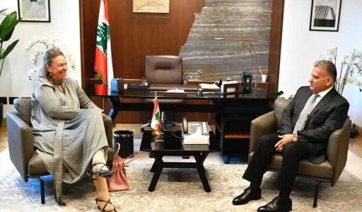 اللواء ابراهيم يبحث الأوضاع مع سفيري سويسرا والنروج
