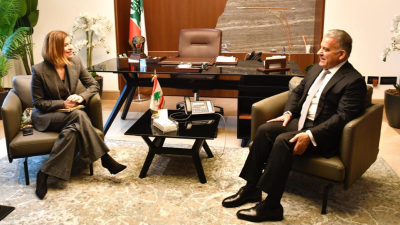 اللواء ابراهيم يلتقي نائب رئيس الاشتراكية الدولية هنا جلول