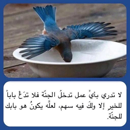 "لا تَسْتَهِنْ بفعلِ الخير"!