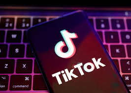 بعد شبكة المتحرشين على tiktok.. شبكة بنات بطلتها تيكتوكر لبنانية مشهورة!