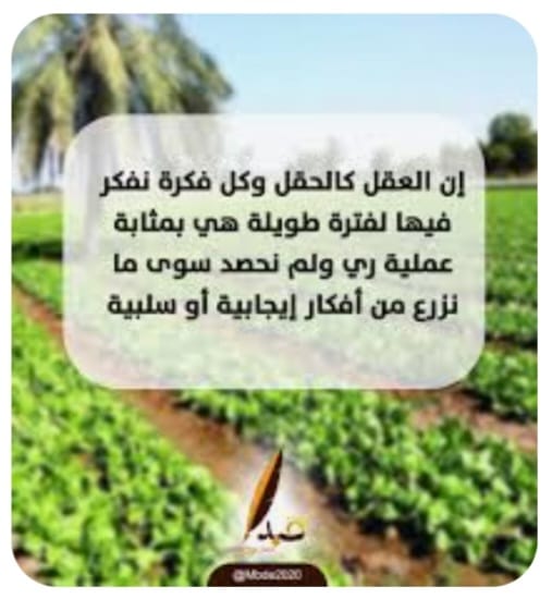 "العقل كالحقل"!