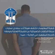 بالجرم المشهود.. توقيف سارق كابلات كهربائية  في الغازية!