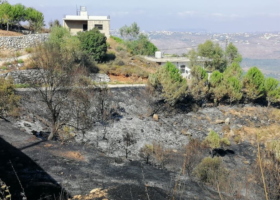 كفر حمام جنوب لبنان.. ذخائر الاحتلال تحوّل المزارع إلى "حقول موت"