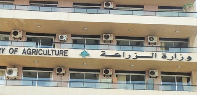 إجراءات صارمة بحق مخالف لقوانين الصيد البحري