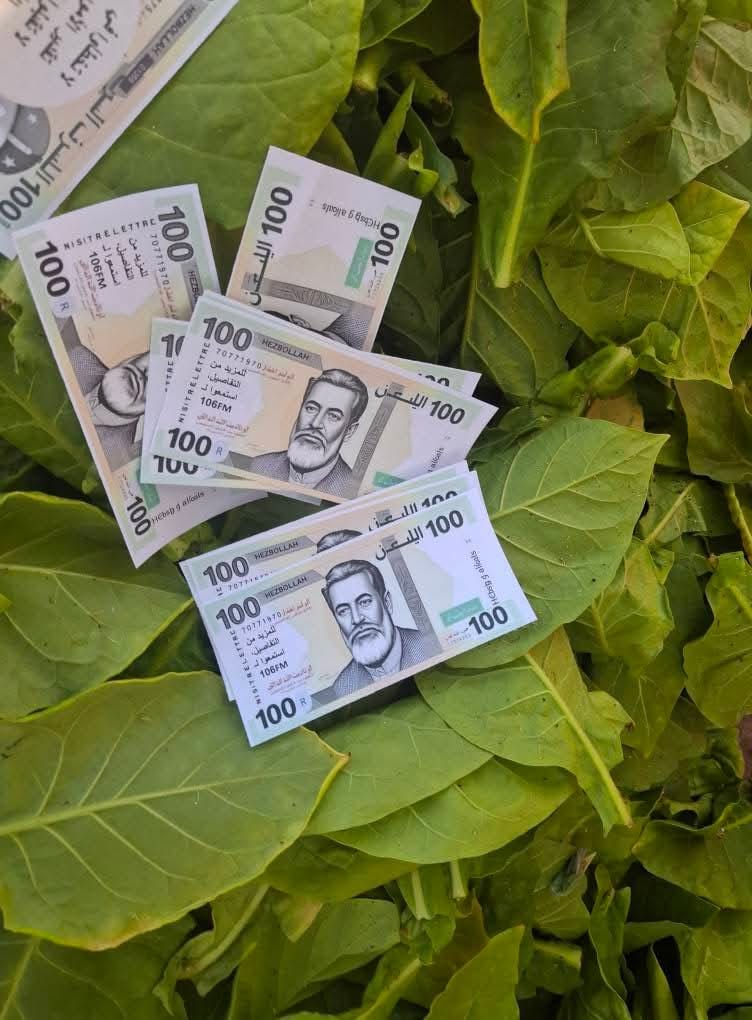 لا تكونوا كالغشيم.. مسيرة ترمي اموالا فوق عيترون
