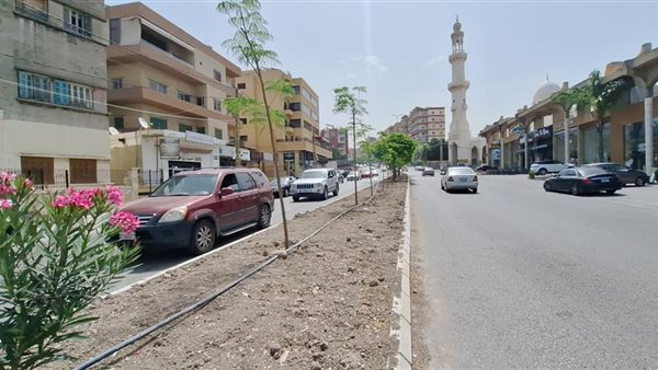 د. بديع: نستعد لاستكمال إعادة تأهيل وصيانة مستديرات ووسطيات في صيدا