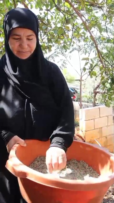 صناعة التقطير تزدهر جنوباً.. فرص عمل للشباب و"مونة" لكلّ بيت
