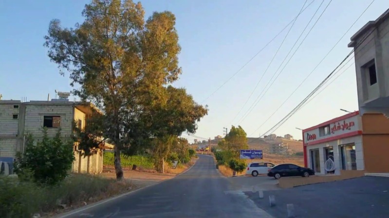 سلام إلى ميس الجبل.. جارة فلسطين