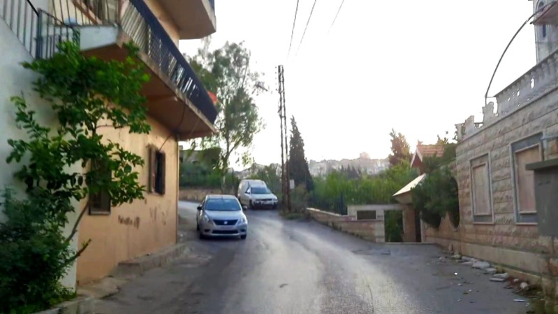 سلام إلى ميس الجبل.. جارة فلسطين
