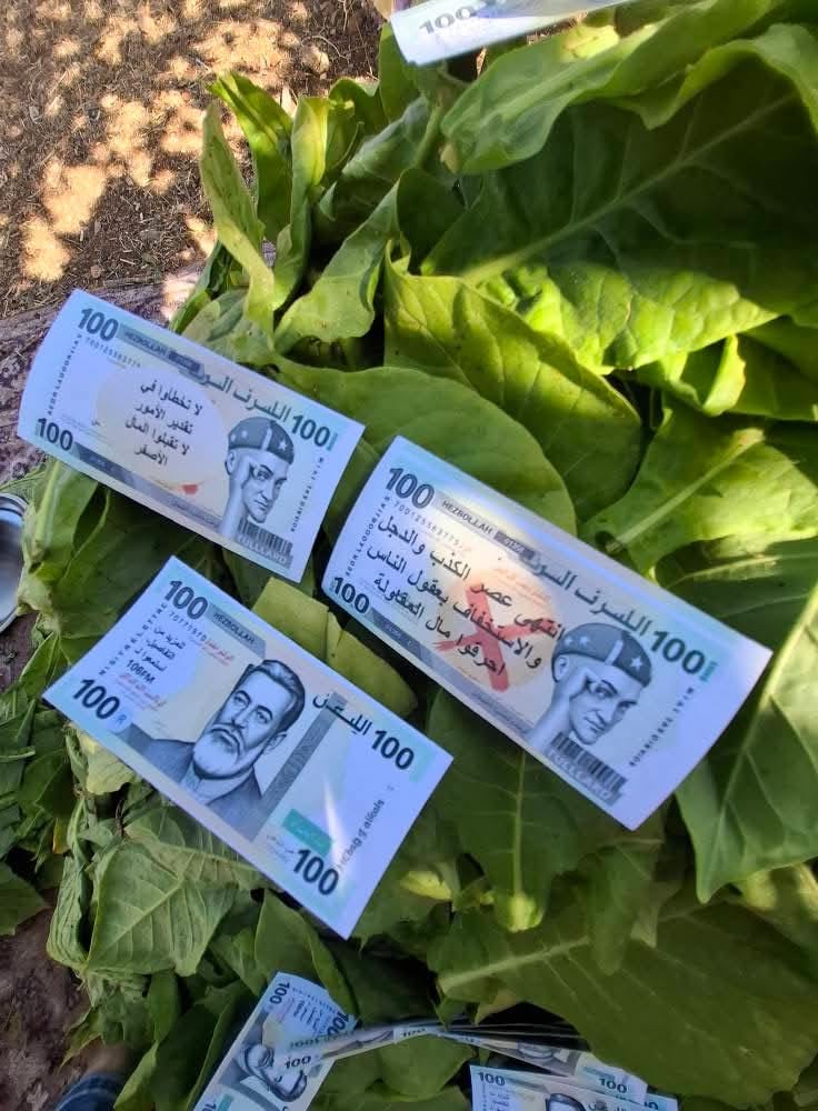 لا تكونوا كالغشيم.. مسيرة ترمي اموالا فوق عيترون