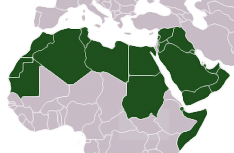 للعروبة لا للنظام