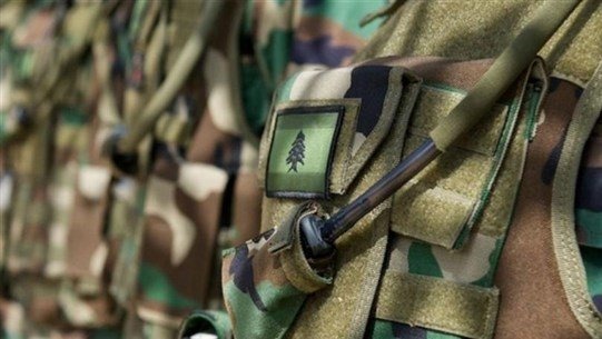 الجيش: إستهداف مدفعية العدو منطقة وادي حامول الجنوب