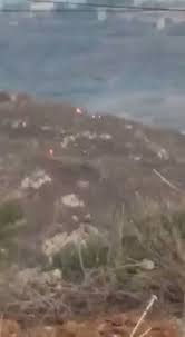 فيديو يظهر أحد مفتعلي الحرائق جنوبا!