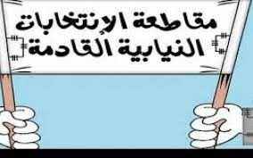 خبير انتخابي: نحو 70% من اللبنانيين يتجهون إلى مقاطعة الانتخابات