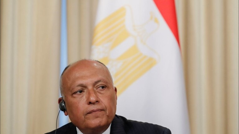 وزير الخارجية المصري يكشف عن دور العرب في الأزمة بين روسيا وأوكرانيا