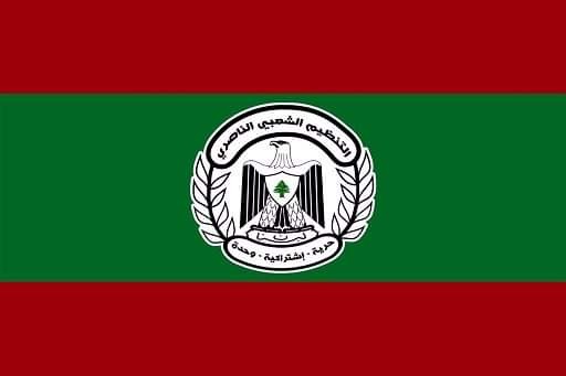 التنظيم الشعبي الناصري يؤكد على الرفض القاطع لإطلاق النار الاحتفالي، ويناشد الجميع الإقلاع عن هذه الممارسة الضارة