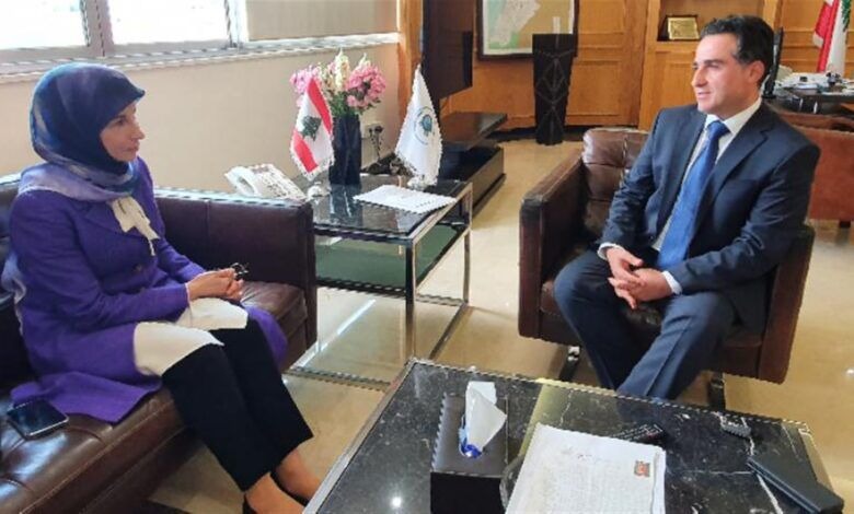 عز الدين بحثت مع الوزير حميه في الملفات والمشاريع الانمائية الملحة في قضاء صور