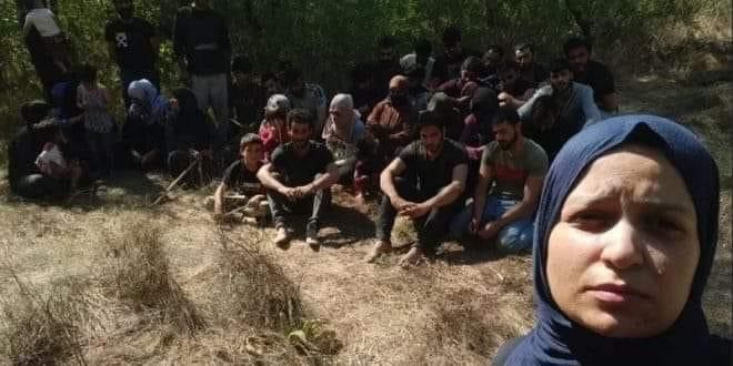 العثور على 38 سورياً في جزيرة مهجورة!