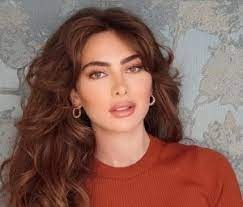 الأمن العام يعلن تفاصيل مسار مداولات ملف ستيفاني صليبا منذ وصوله إلى المكتب المختص في المديرية