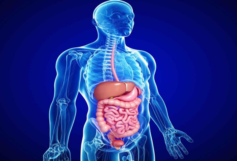 5 نصائح طبية تُبعد مخاطر كبرى عن الجهاز الهضمي