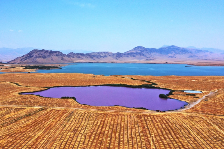 ما سر البحيرة البنفسجية في العراق؟