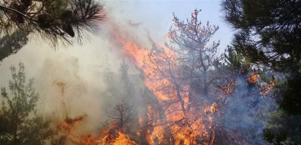 حريق كبير في أحراج بلدة إدّه... وآخر في عفصديق - الكورة