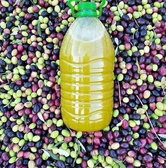 "خاص جنوبيات" إنجاز مهمّ للقوى الأمنية.. الأمن ما زالَ ممسوكًا