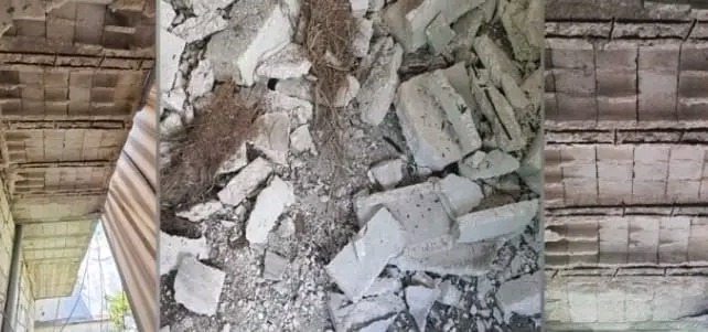 في منطقة صور.. العناية الإلهية تنقذ سيدة من الموت المحتم!