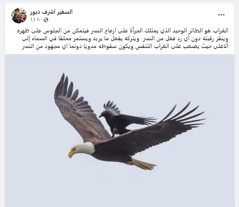 السفير دبور ... هكذا يسقط الغراب عن ظهر النسر