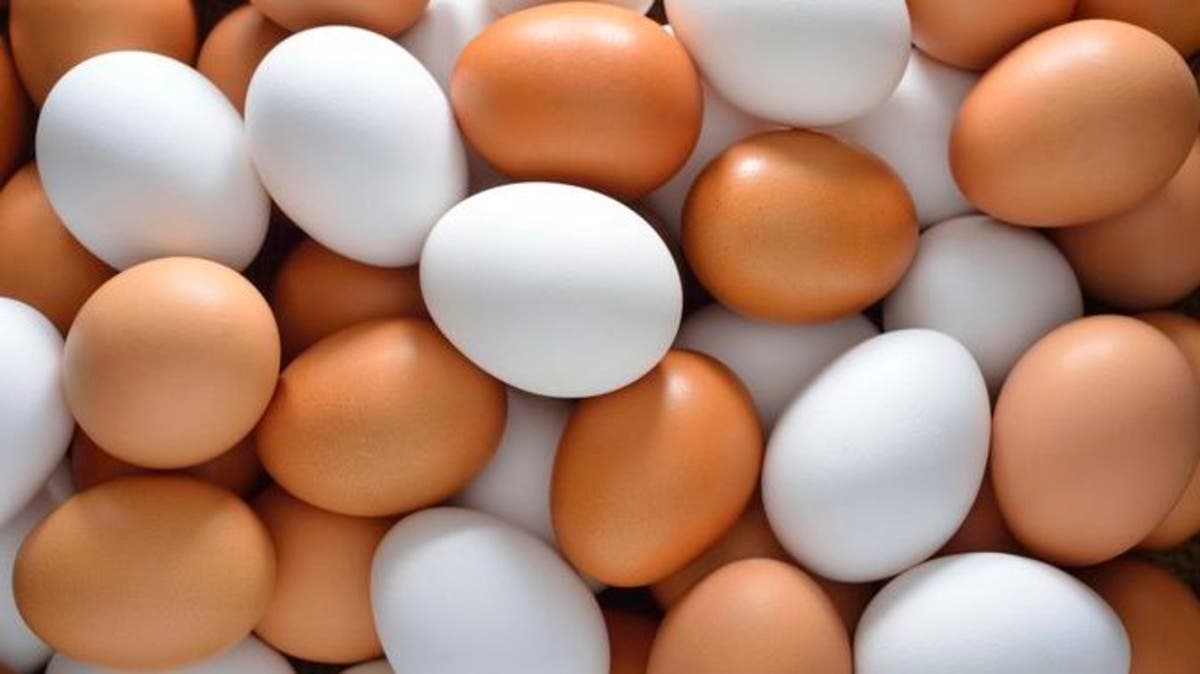 البيض.. روسيا الأرخص عالميا فما هو سعره في البلدان العربية؟